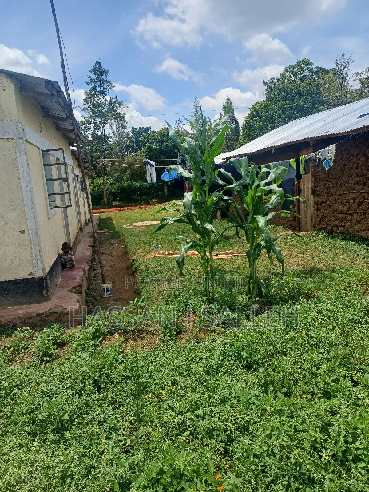 Plot 4 Sale at Mumias Lumino in Mumias Central