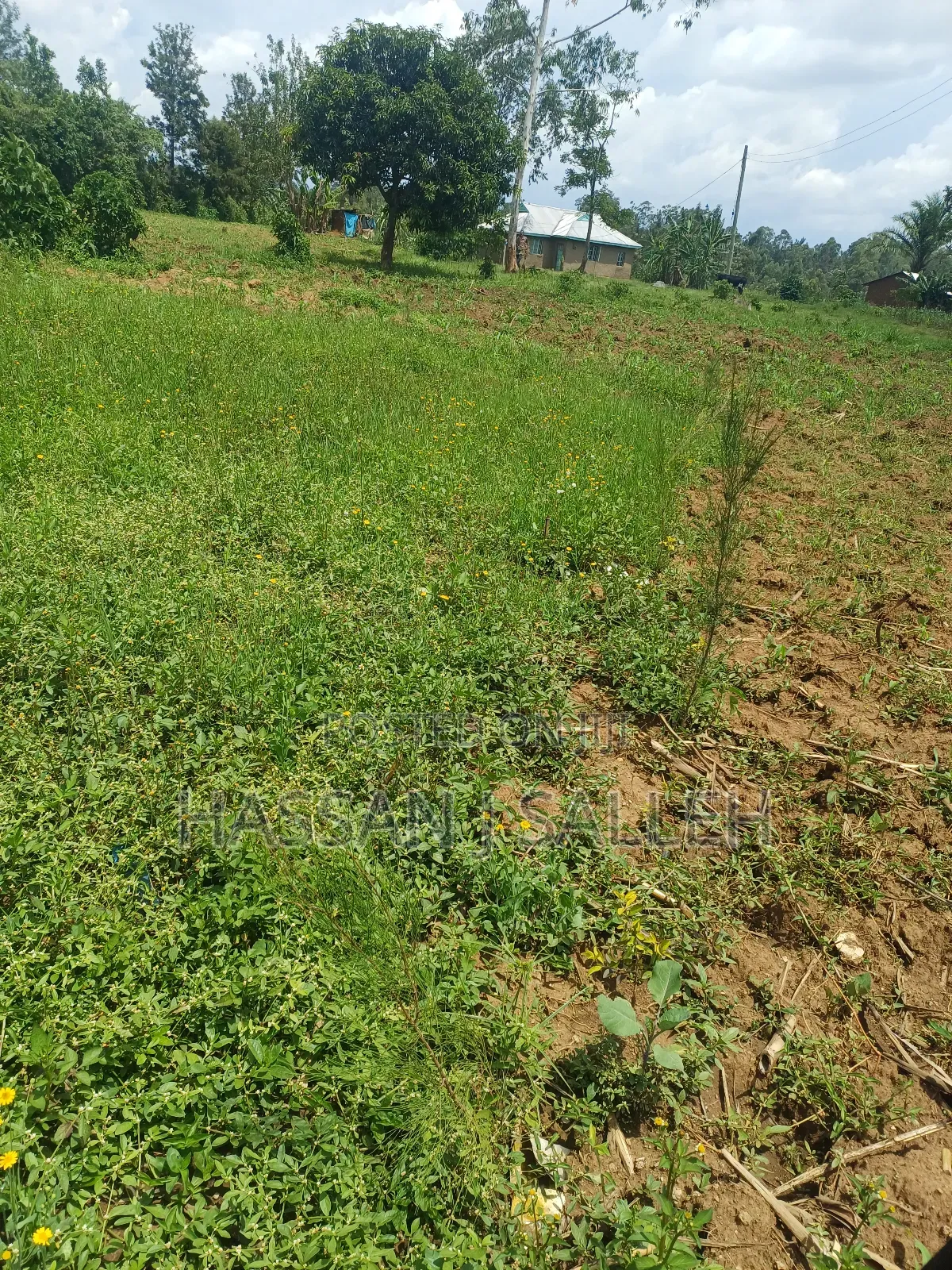 Plot 4 Sale at Mumias Lumino in Mumias Central