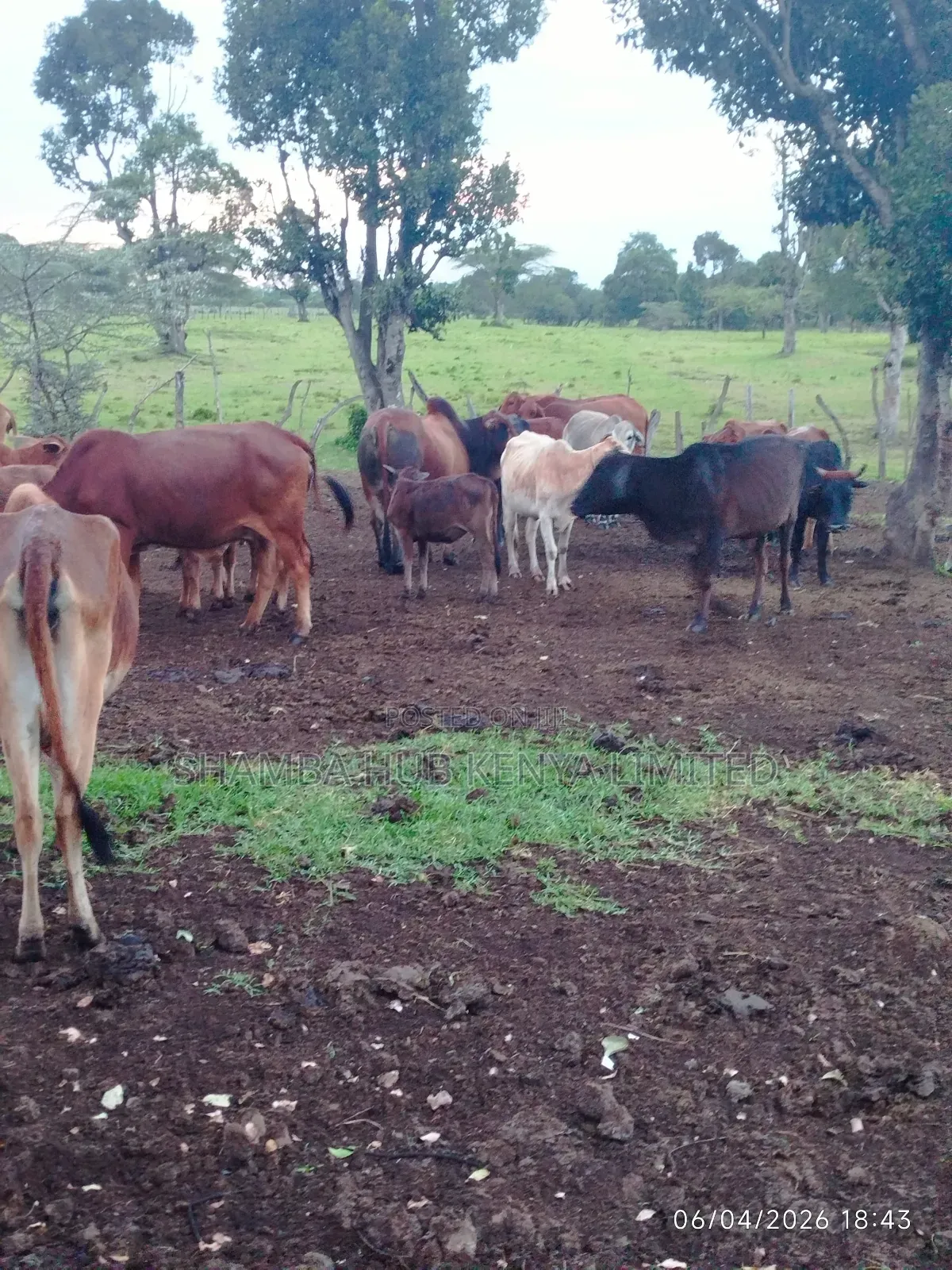 Sekenani Gate Land On Sale in Narok Town