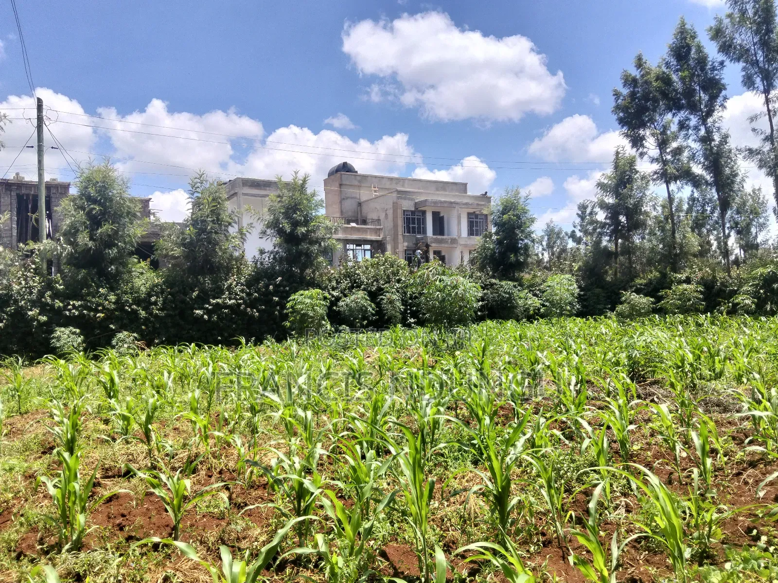 Kirigiti Residential Plots for Sale in Kiambu / Kiambu 