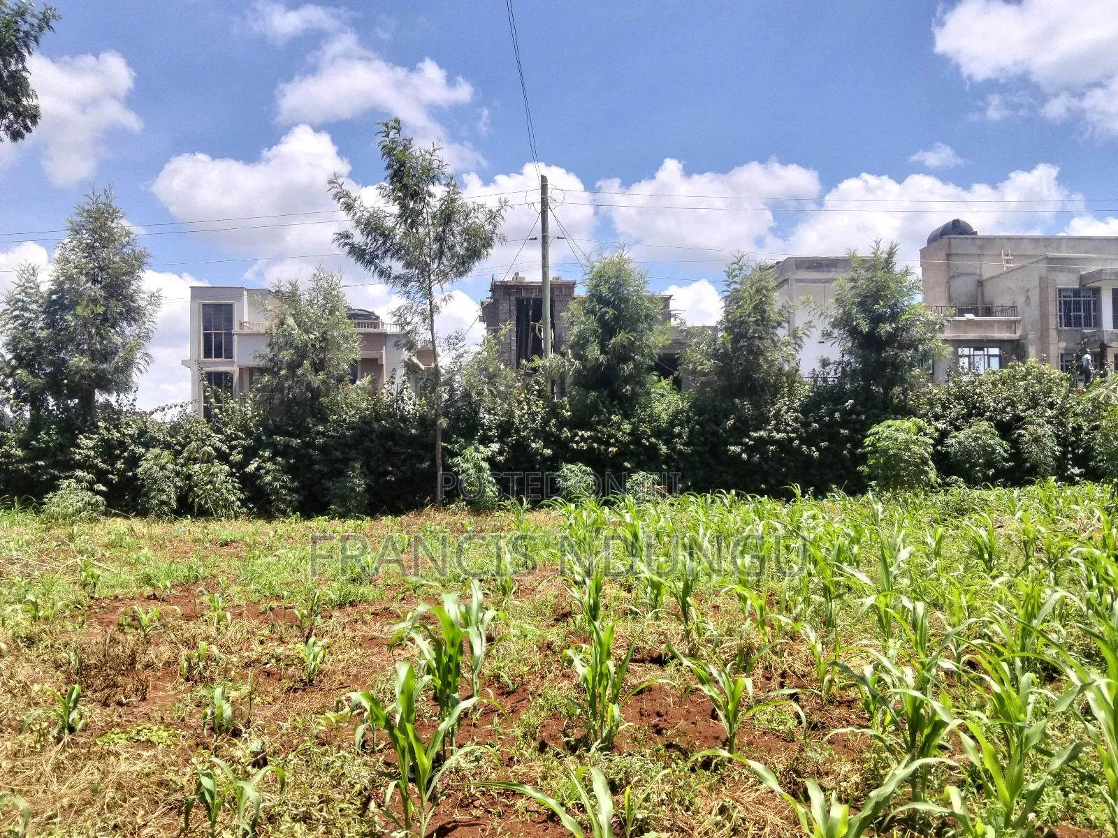 Kirigiti Residential Plots for Sale in Kiambu / Kiambu 