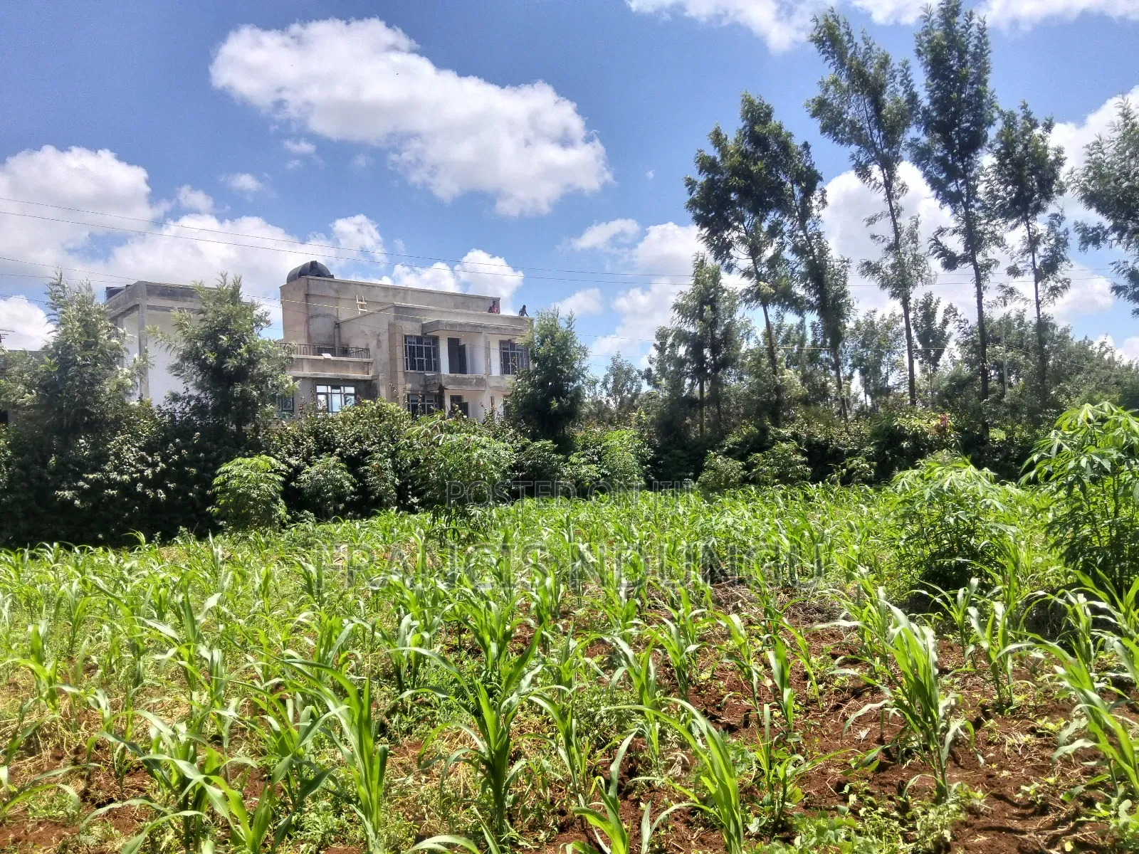 Kirigiti Residential Plots for Sale in Kiambu / Kiambu 