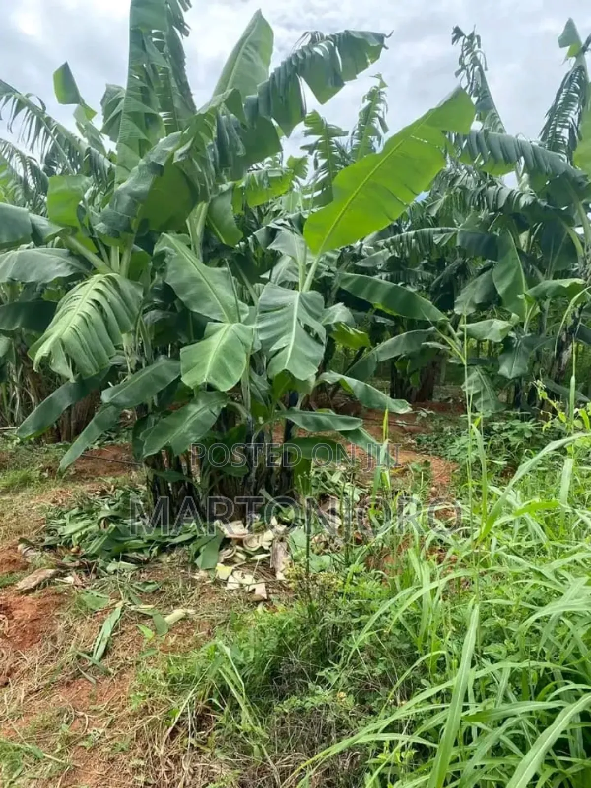2 Acres Near Makutano Ya Mwea in Kenyatta Road / Theta