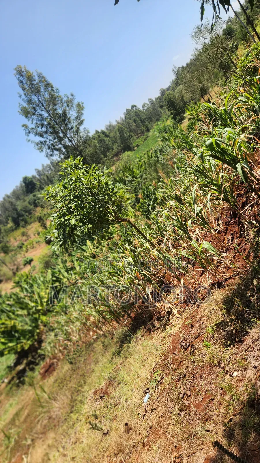 2 Acres Near Makutano Ya Mwea in Kenyatta Road / Theta