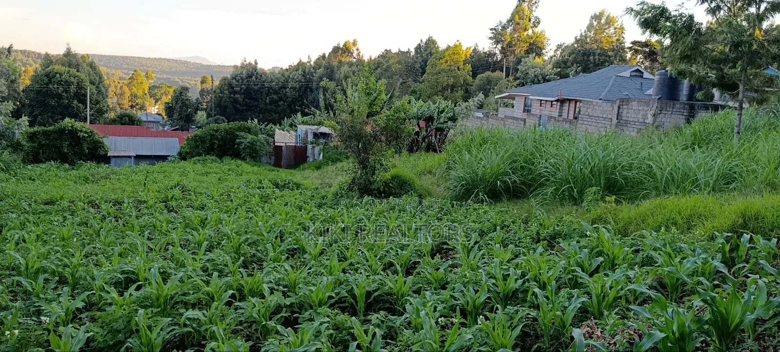 Kikuyu Prime Plots for Sale in Kikuyu