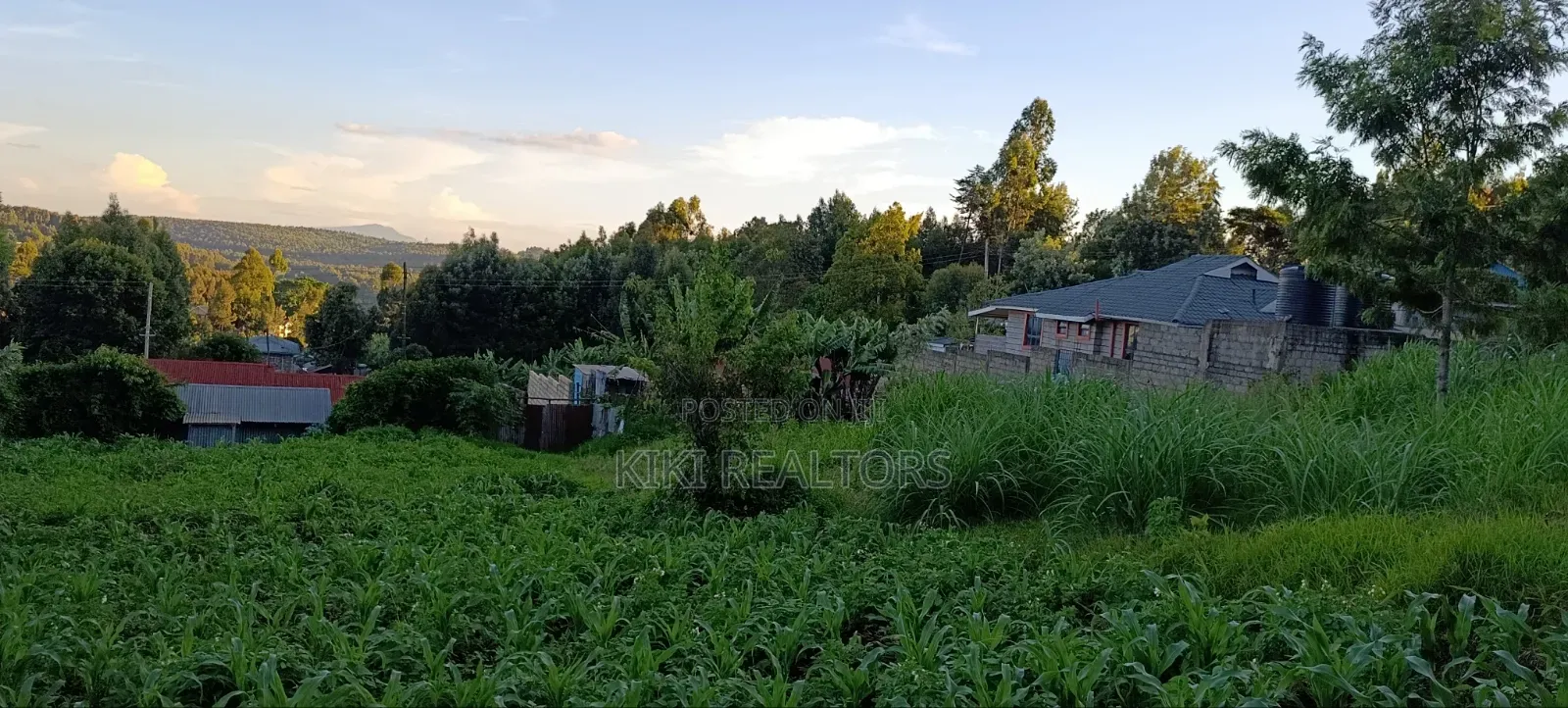 Kikuyu Prime Plots for Sale in Kikuyu