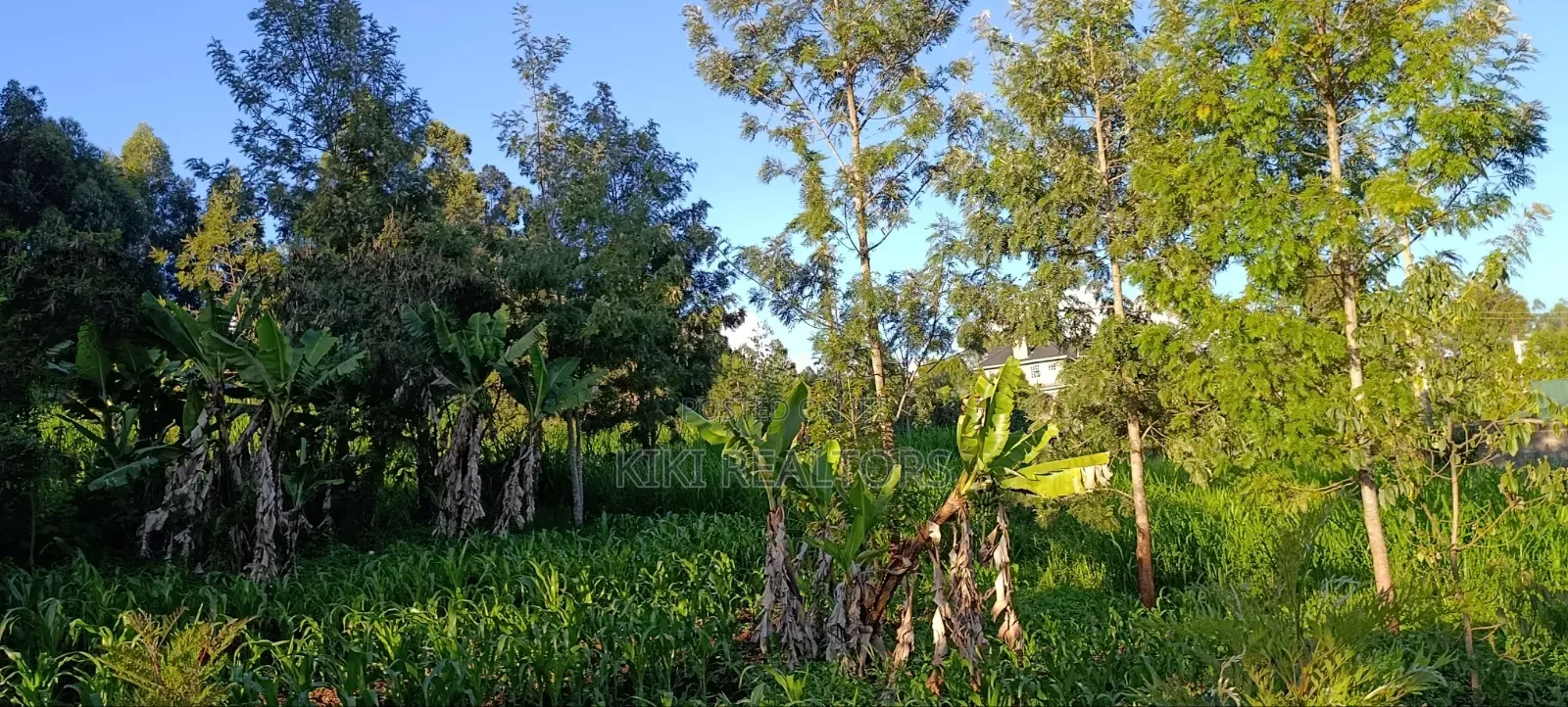 Kikuyu Residential Plots for Sale in Kikuyu