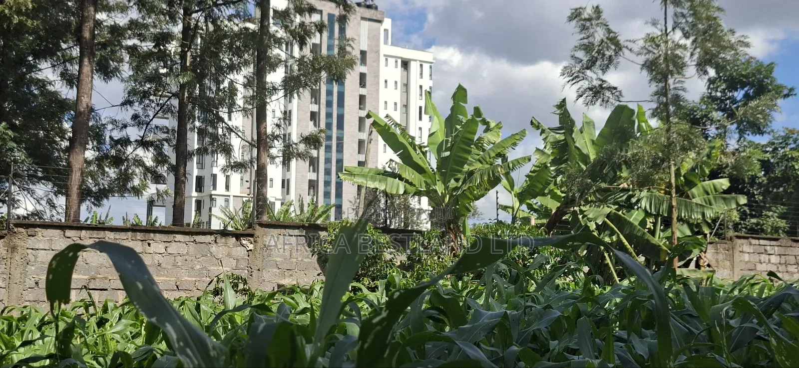 1/2 Land for Sale in Kabete Gathiga in Gathiga