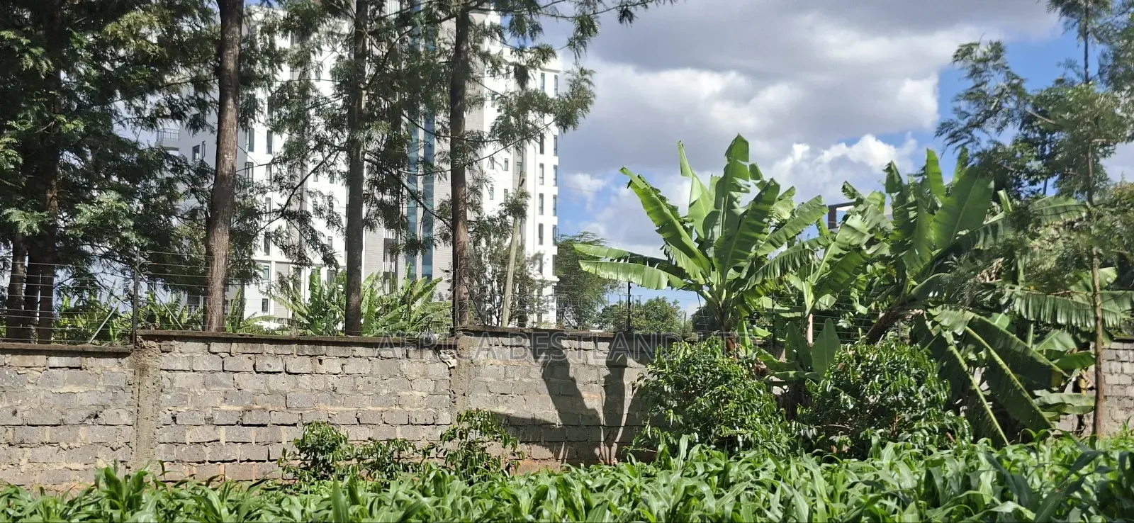 1/2 Land for Sale in Kabete Gathiga in Gathiga