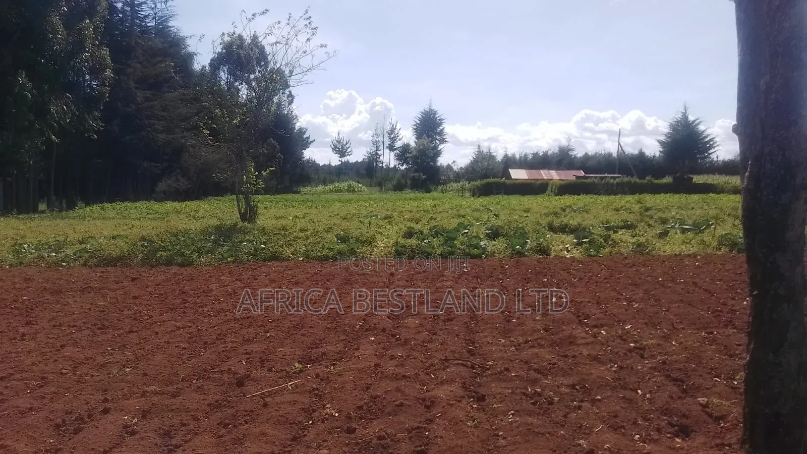  2 Acres Prime Land for Lease – Lower Kabete (Touching Tarmac in Lower Kabete