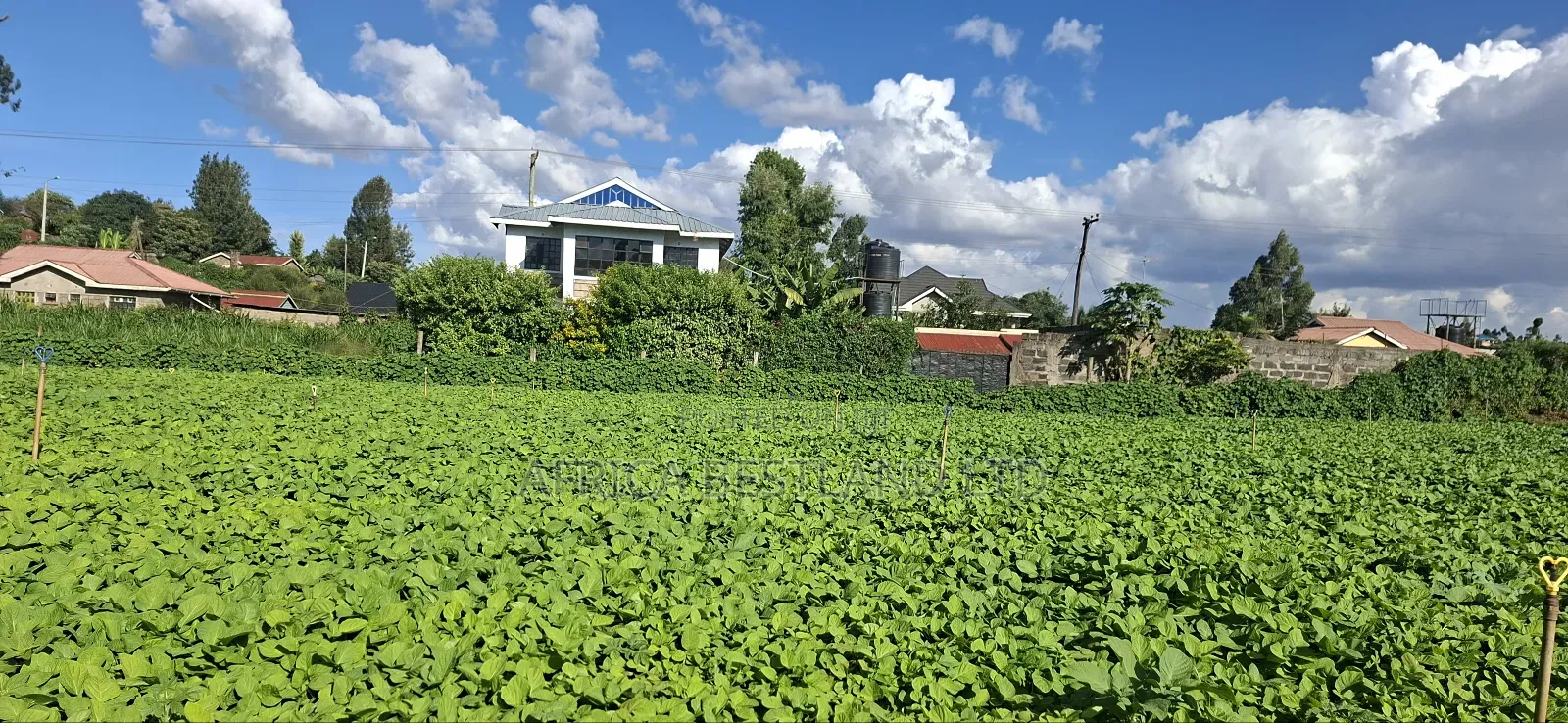 50x100 Available Plot in Kabete Kaiba in Lower Kabete