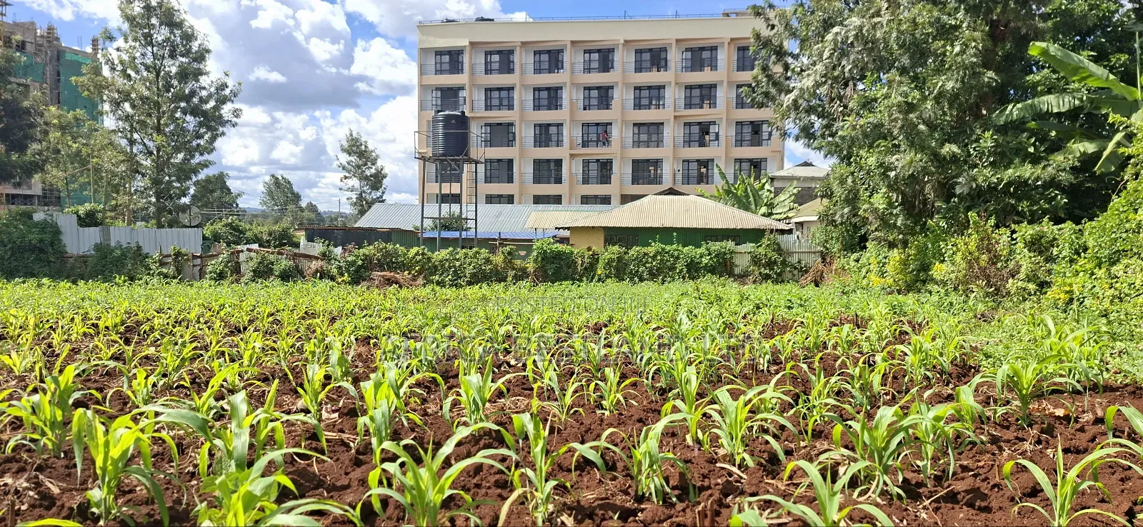 100x100 Commercial Plot for Sale – Kirawa Road, Gathiga in Gathiga