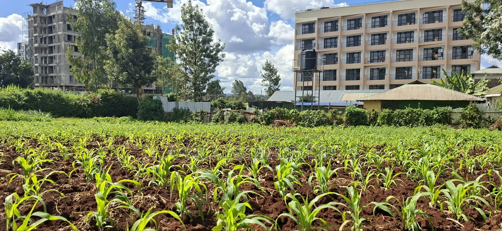 100x100 Commercial Plot for Sale – Kirawa Road, Gathiga in Gathiga