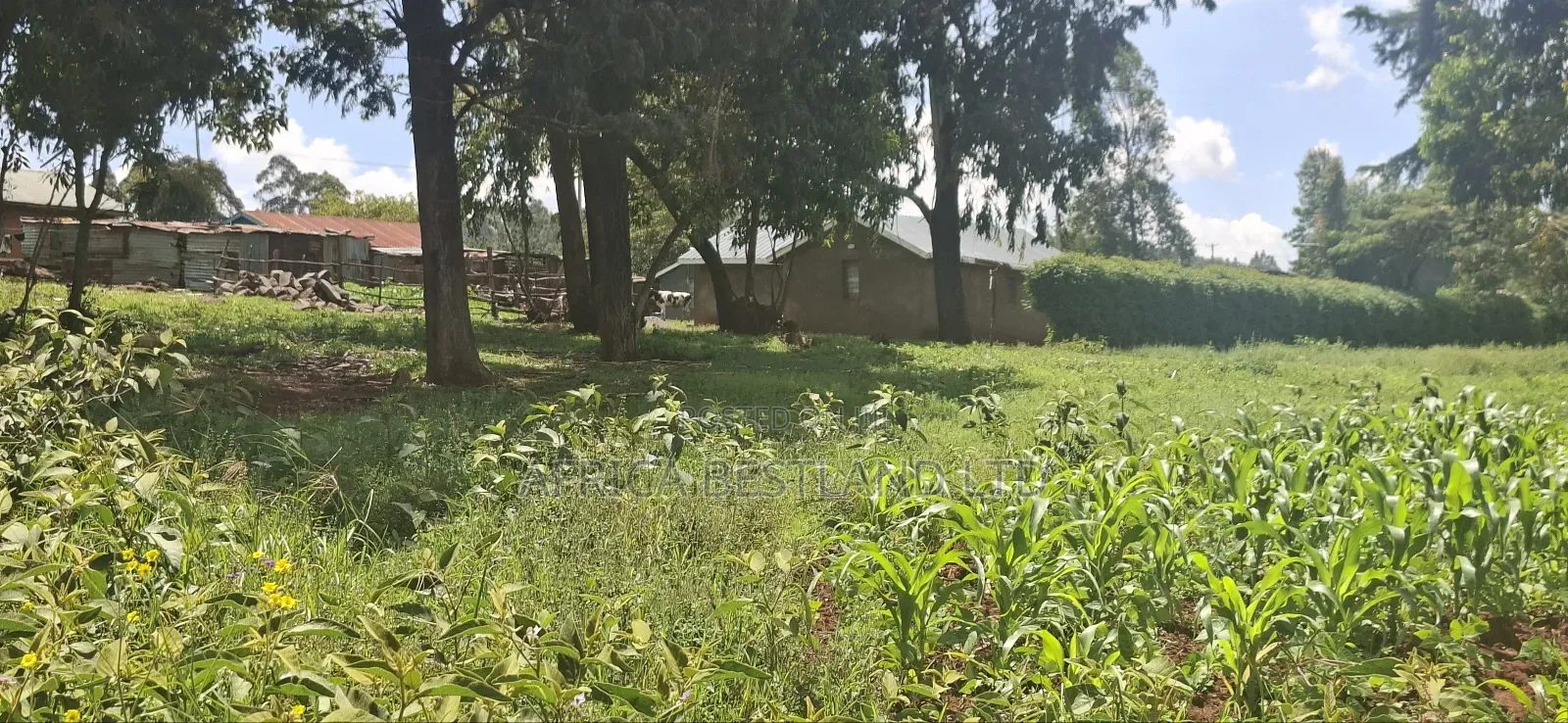 Kikuyu Lusigetti 50x100 Residential Plot in Karai