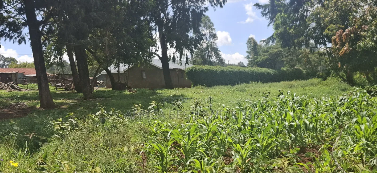Kikuyu Lusigetti 50x100 Residential Plot in Karai