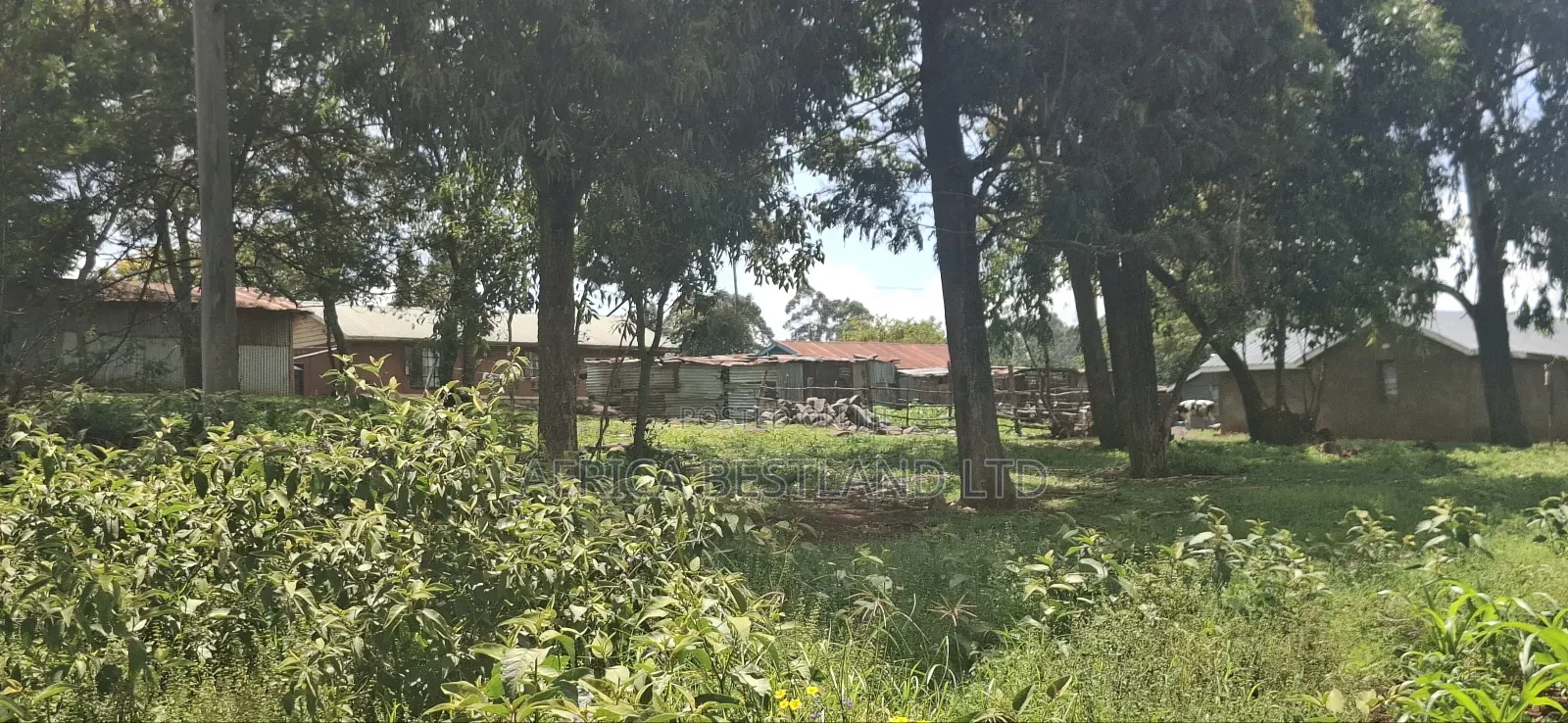 Kikuyu Lusigetti 50x100 Residential Plot in Karai