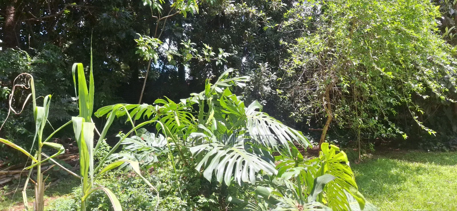 Plot for Sale in Kilimani in Hurlingham