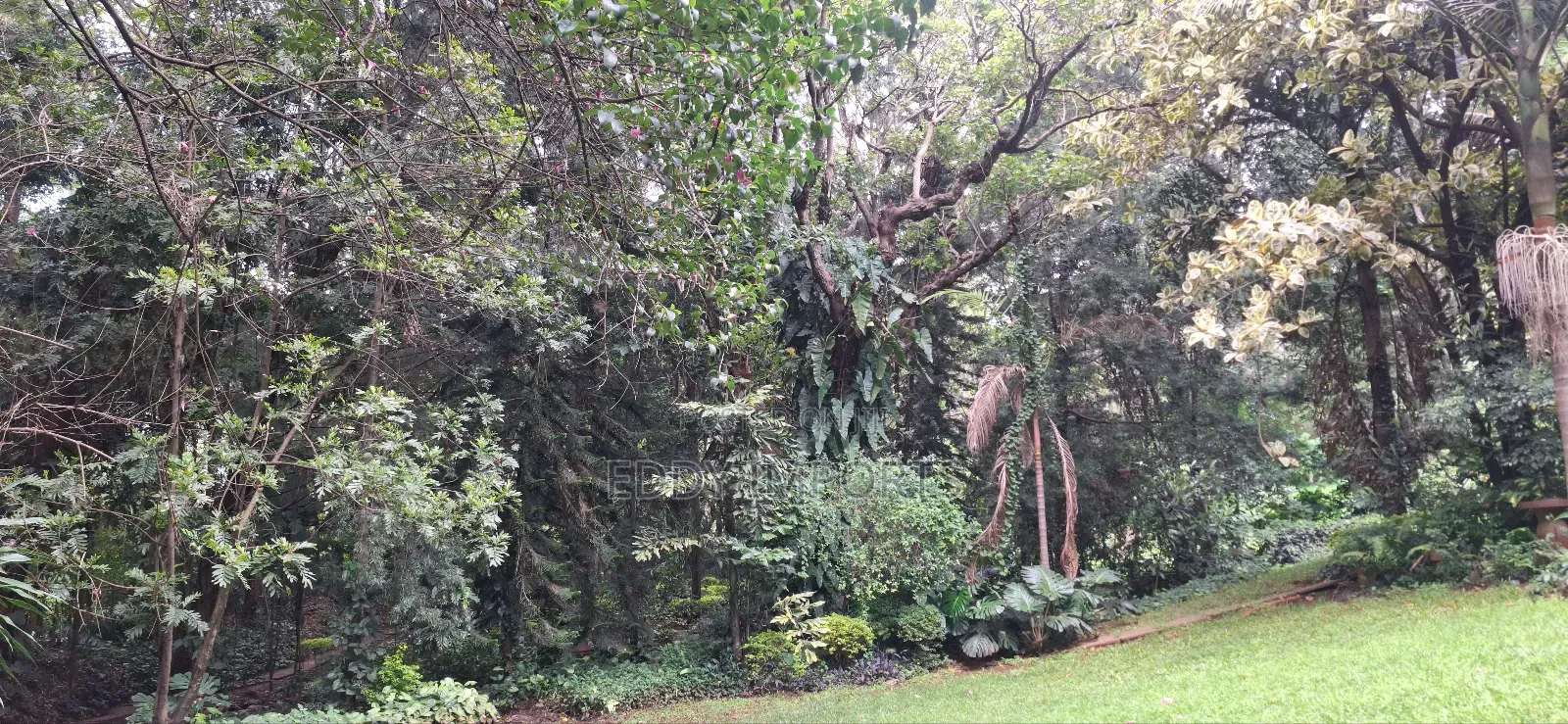Plot for Sale in Kilimani in Hurlingham