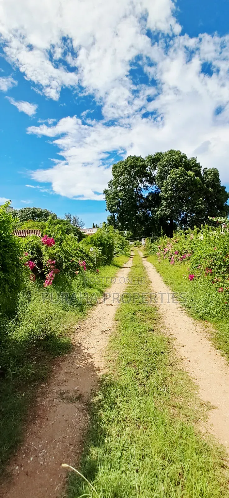 For Sale 1 Acre Prime Land Nyali in Nyali Mkomani