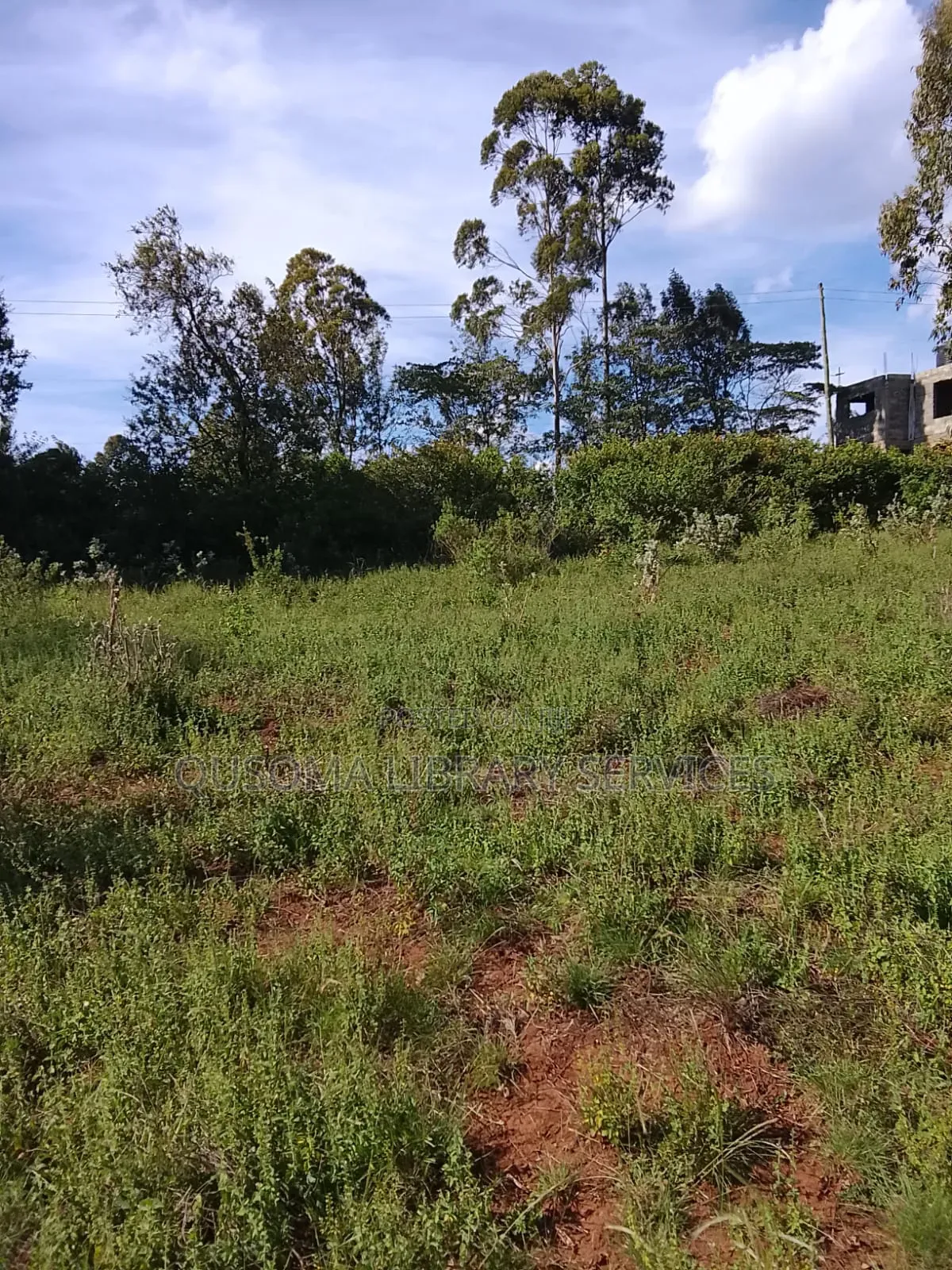 Your Dream Home Awaits – Prime 3/8 Acre Plot in Ngong Kibiko! in Kibiku