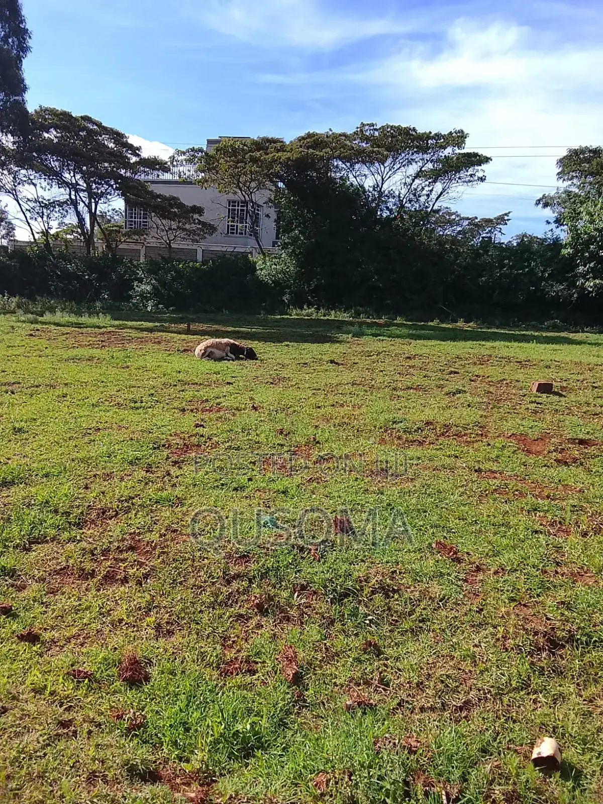 Your Dream Home Awaits – Prime 3/8 Acre Plot in Ngong Kibiko! in Kibiku