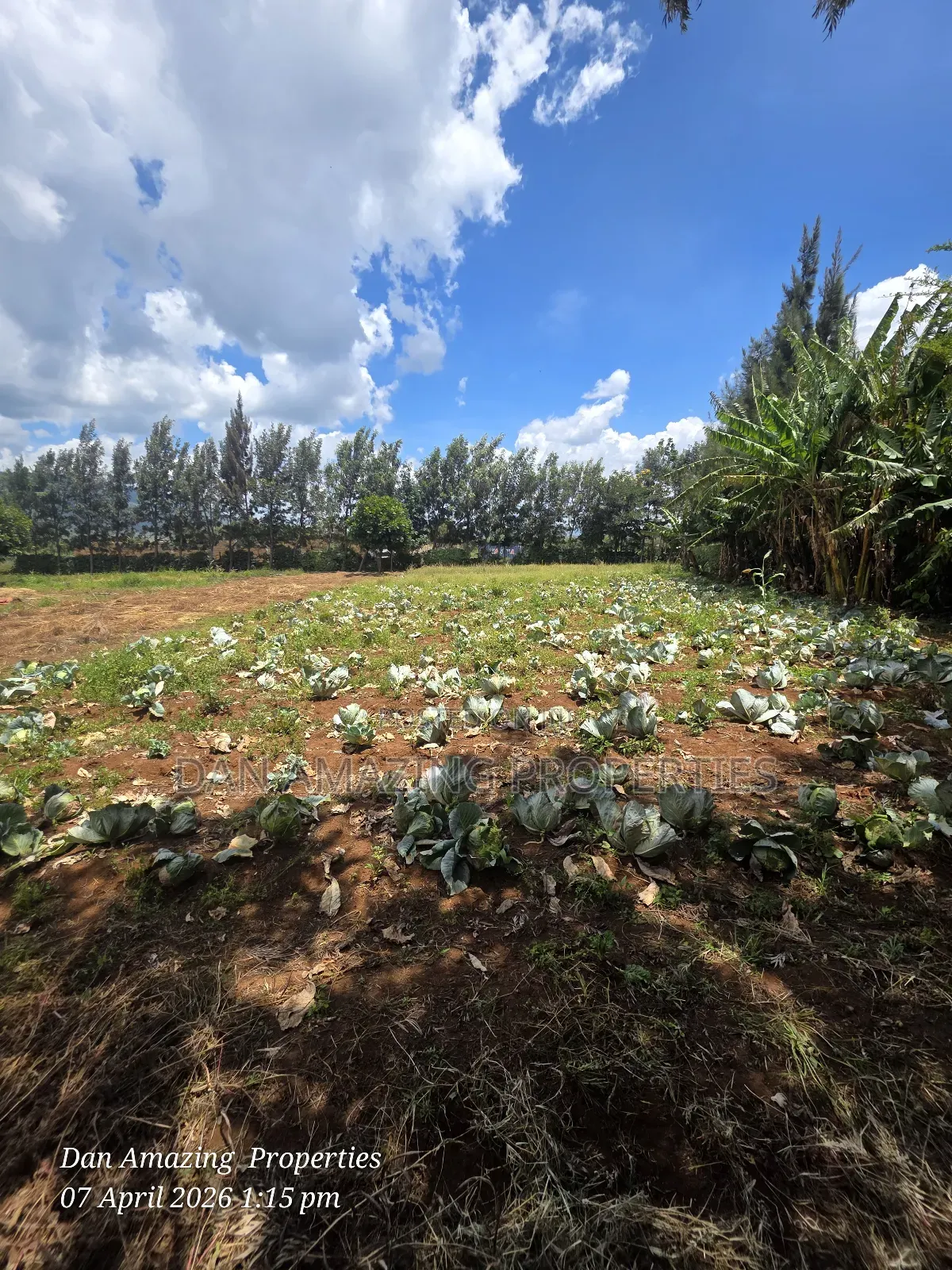 50 by 100 Plot in Ngong Kimuka for Sale I Deal for Residential in Kibiku