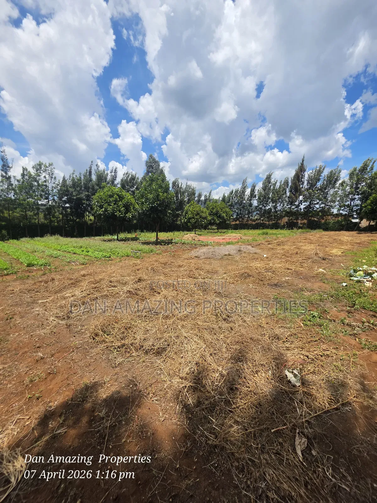 50 by 100 Plot in Ngong Kimuka for Sale I Deal for Residential in Kibiku