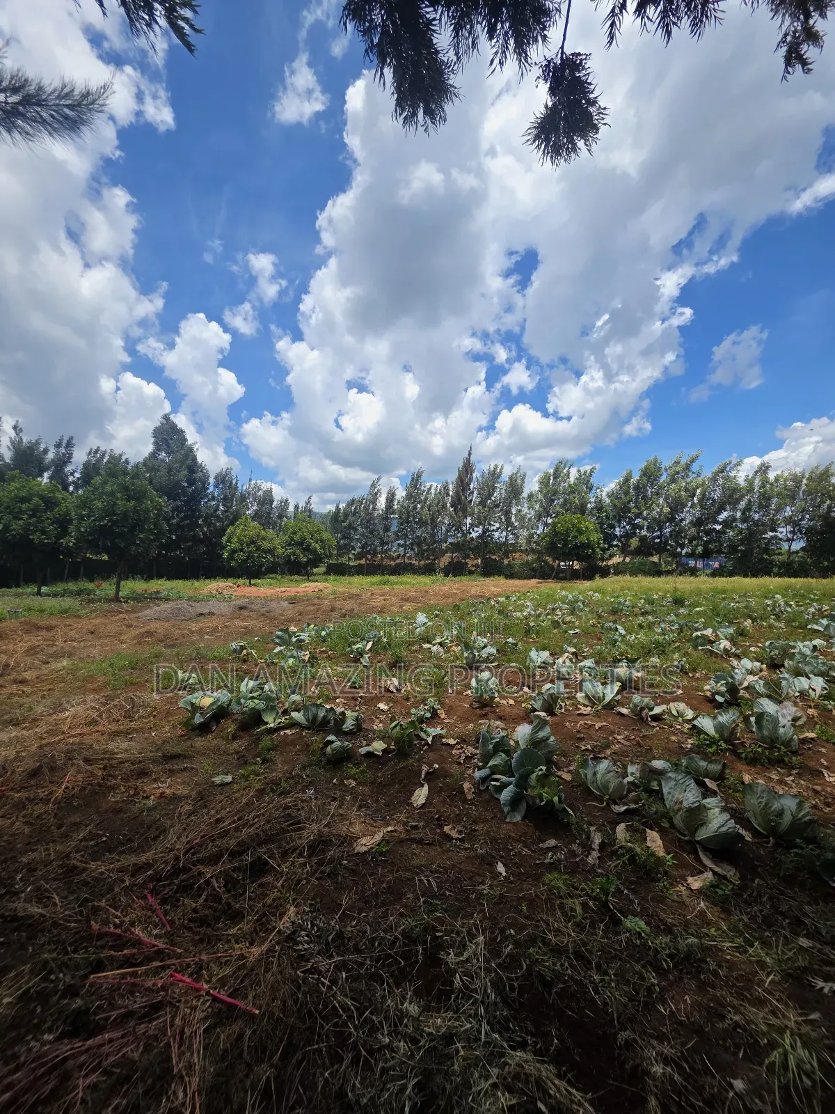 50 by 100 Plot in Ngong Kimuka for Sale I Deal for Residential in Kibiku