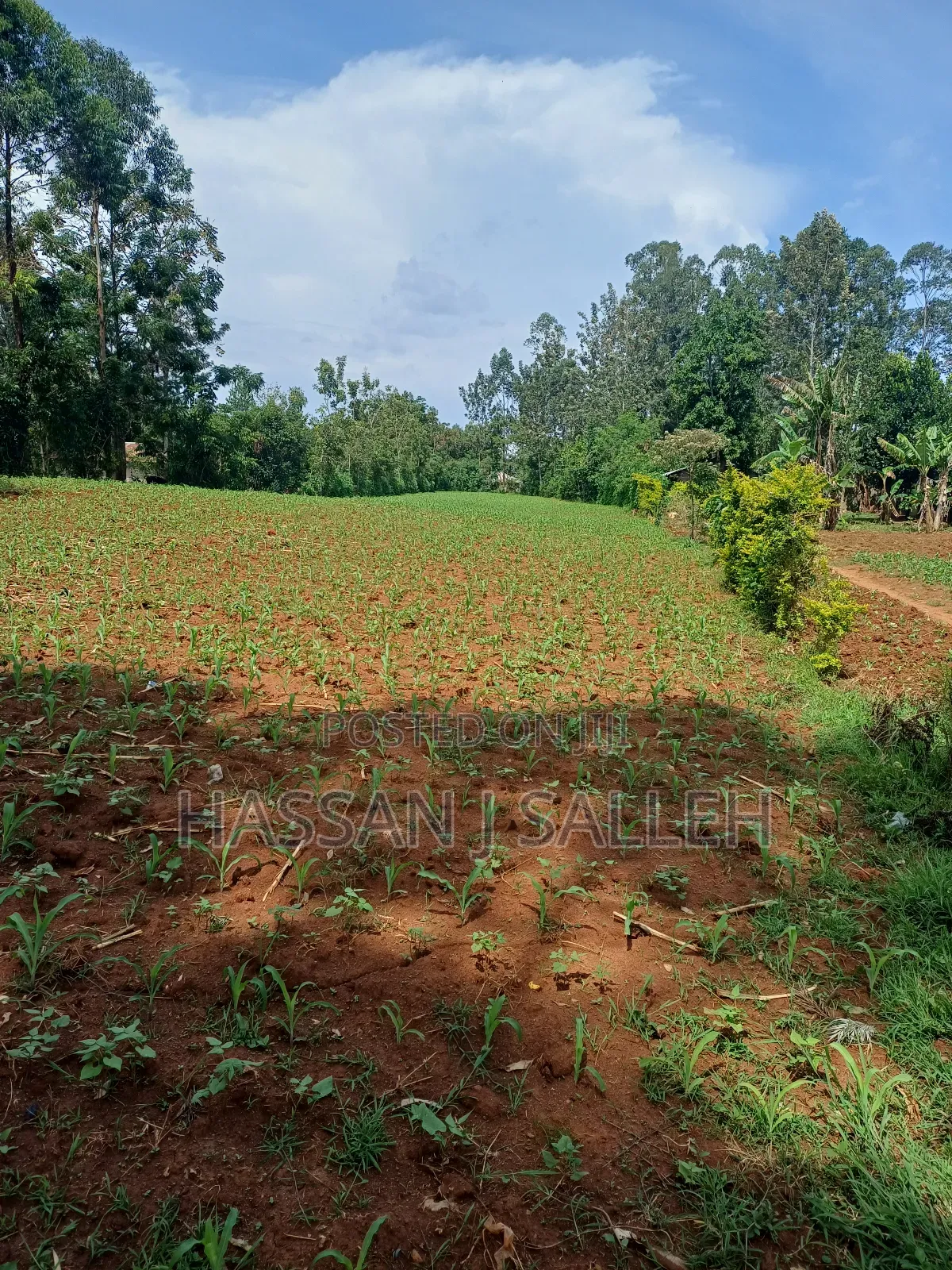 1acre Transfer Matungu. in Mayoni