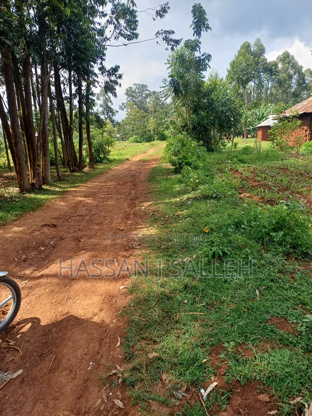 1acre Transfer Matungu. in Mayoni