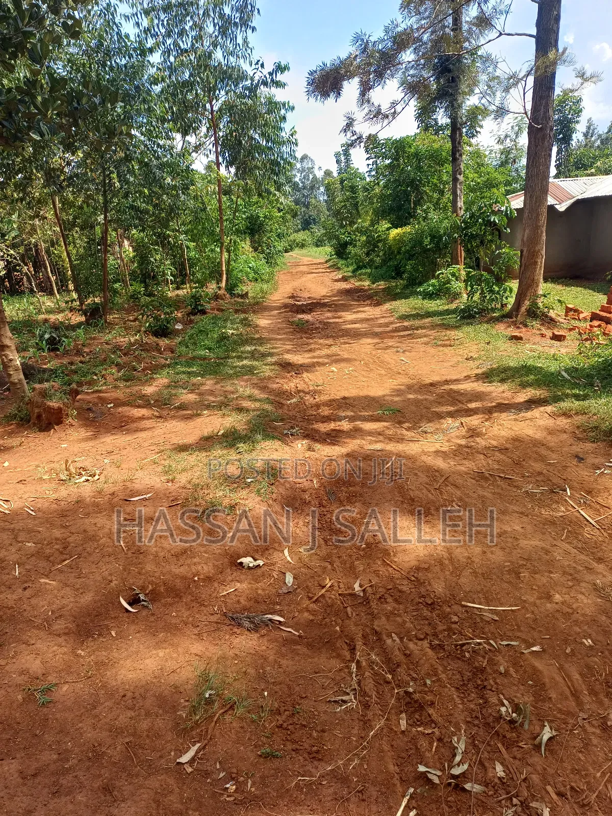1acre Transfer Matungu. in Mayoni