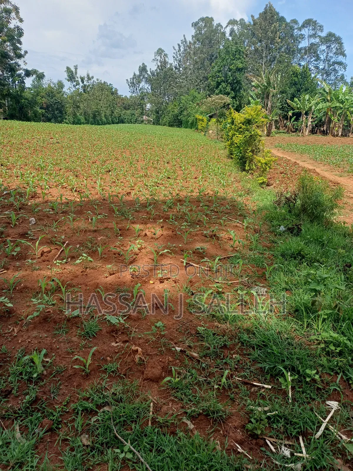 1acre Transfer Matungu. in Mayoni