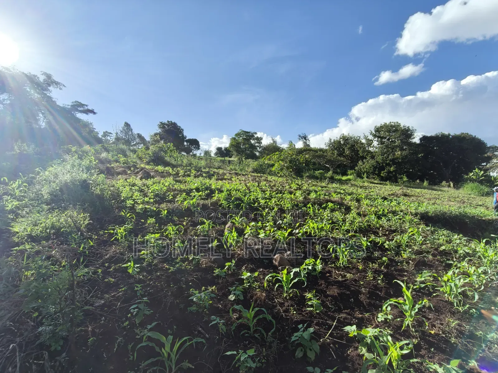 One Acre Plot for Sale in Ngong, Kahara Near Tarmac. Red Soil in Matasia