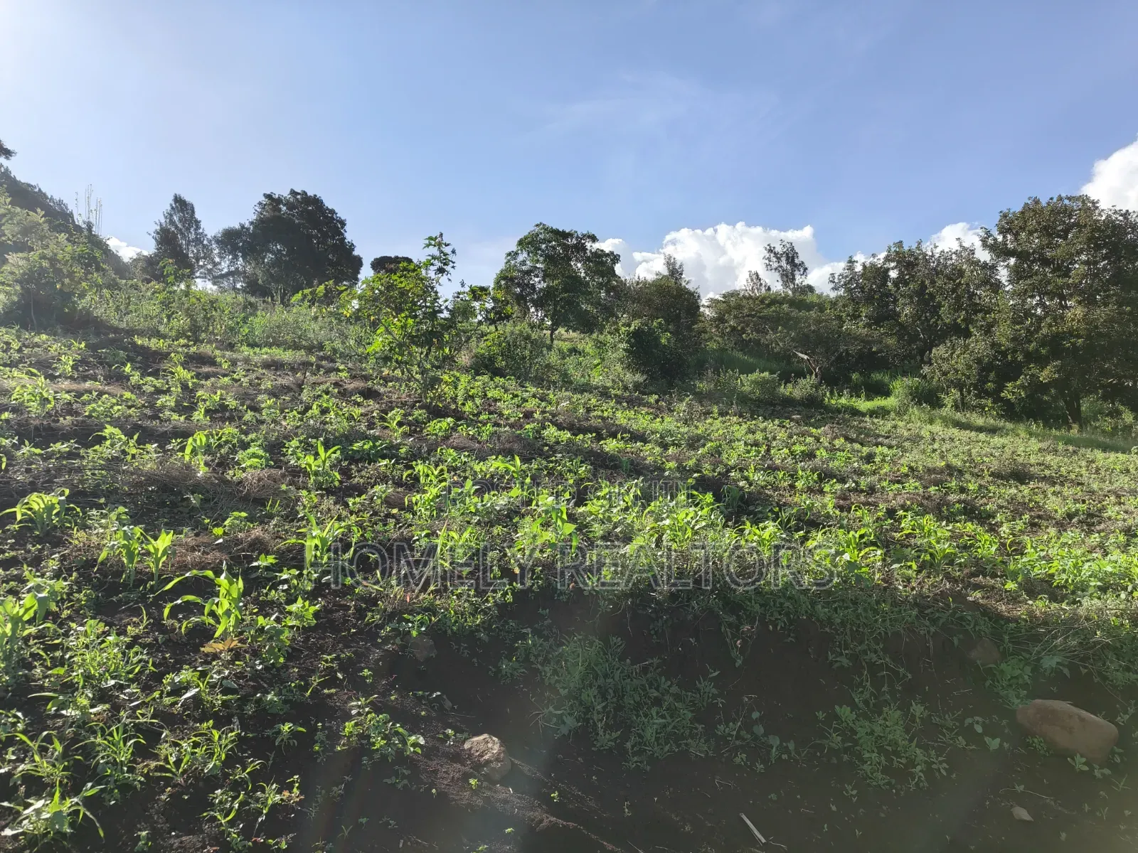 One Acre Plot for Sale in Ngong, Kahara Near Tarmac. Red Soil in Matasia