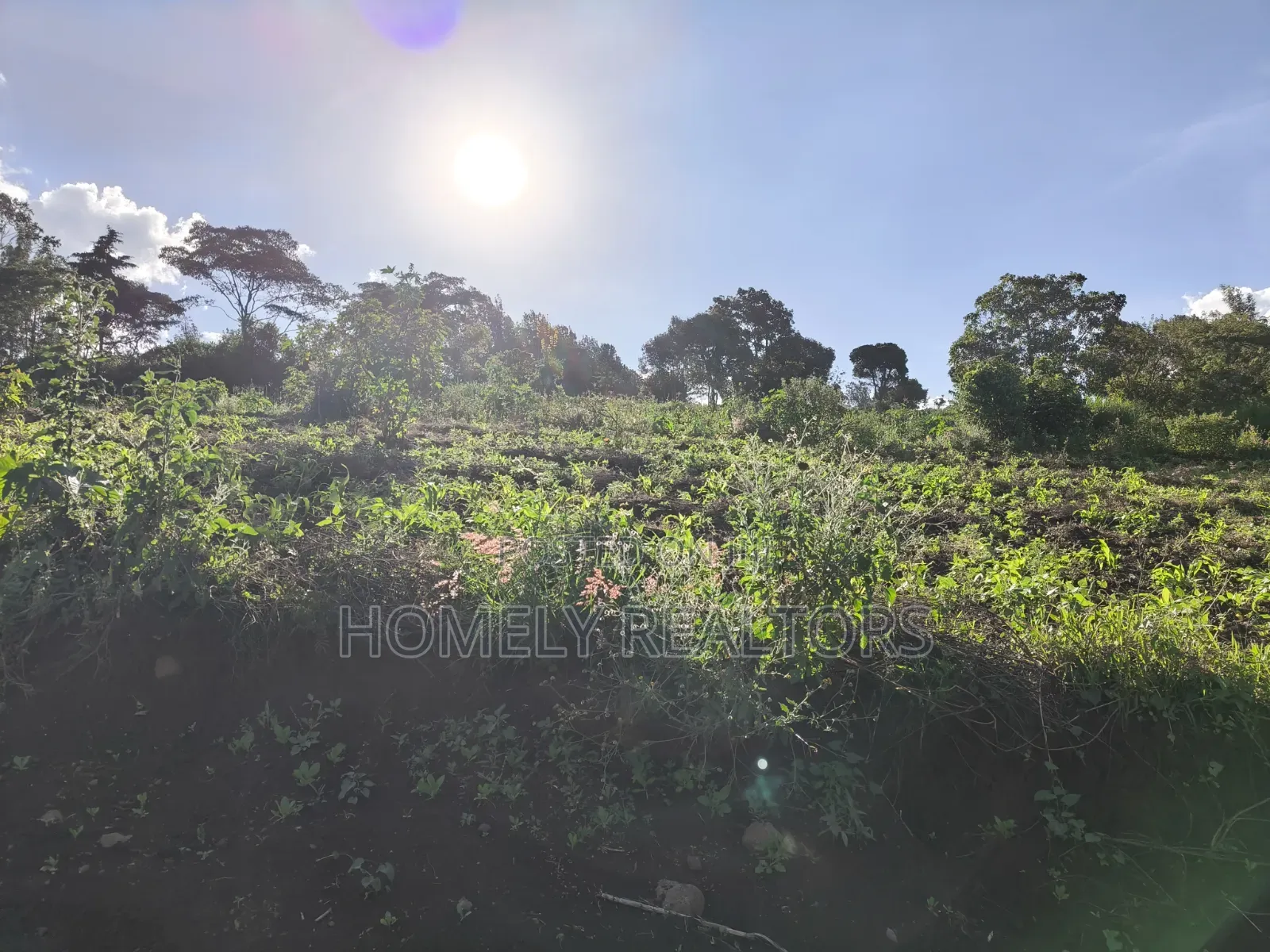 One Acre Plot for Sale in Ngong, Kahara Near Tarmac. Red Soil in Matasia