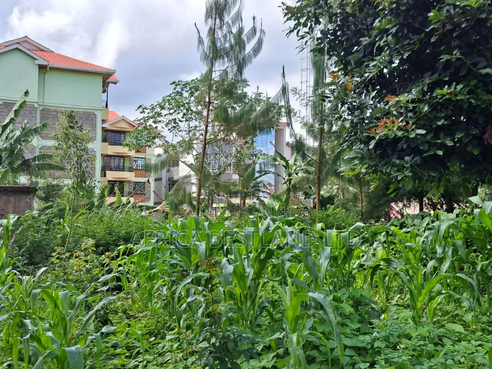 Prime Commercial Plot for Sale – Gathiga, Kabete in Gathiga