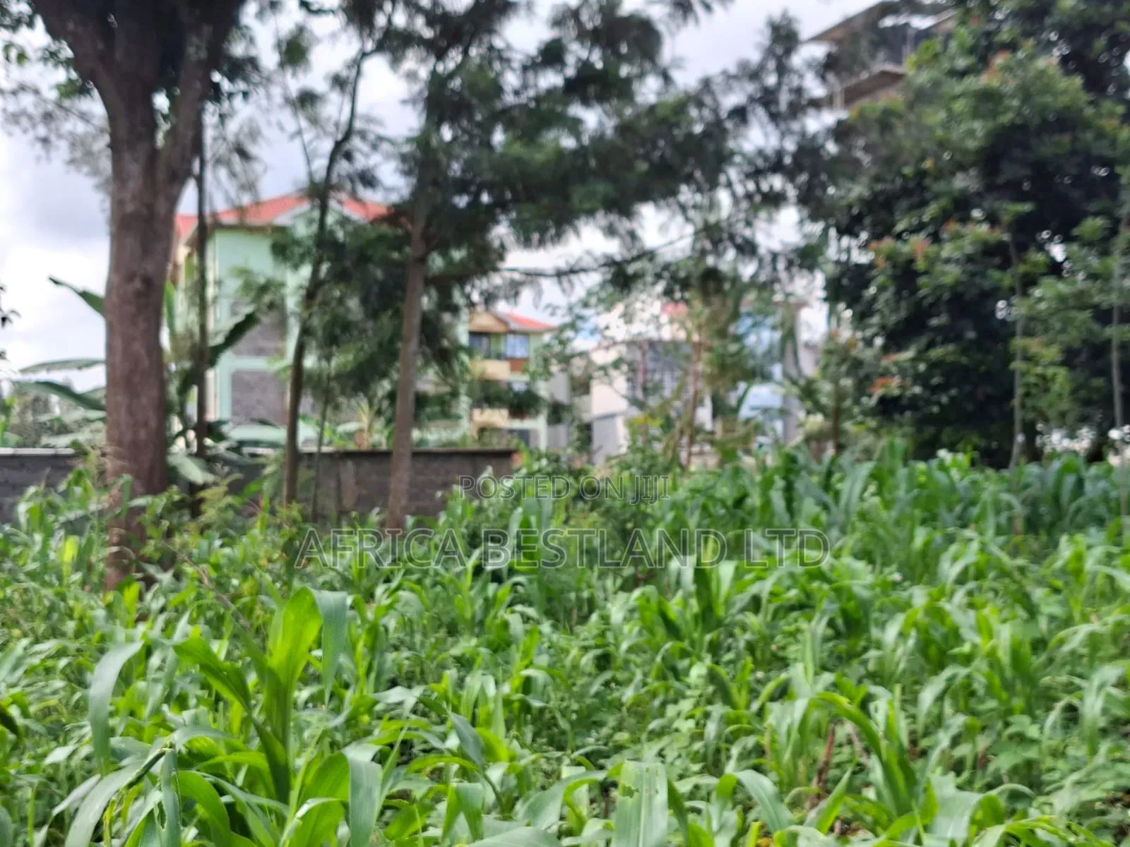 Prime Commercial Plot for Sale – Gathiga, Kabete in Gathiga