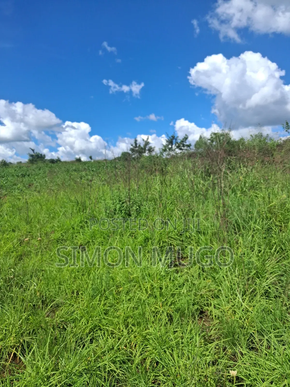 Kitengela Kisaju Very Prime 20 Acres Ideal for Town Hse Less 1km in Kisaju