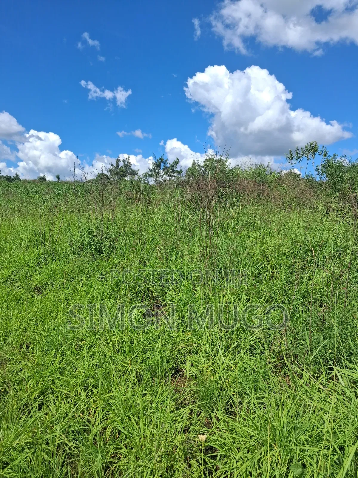 Kitengela Kisaju Very Prime 20 Acres Ideal for Town Hse Less 1km in Kisaju