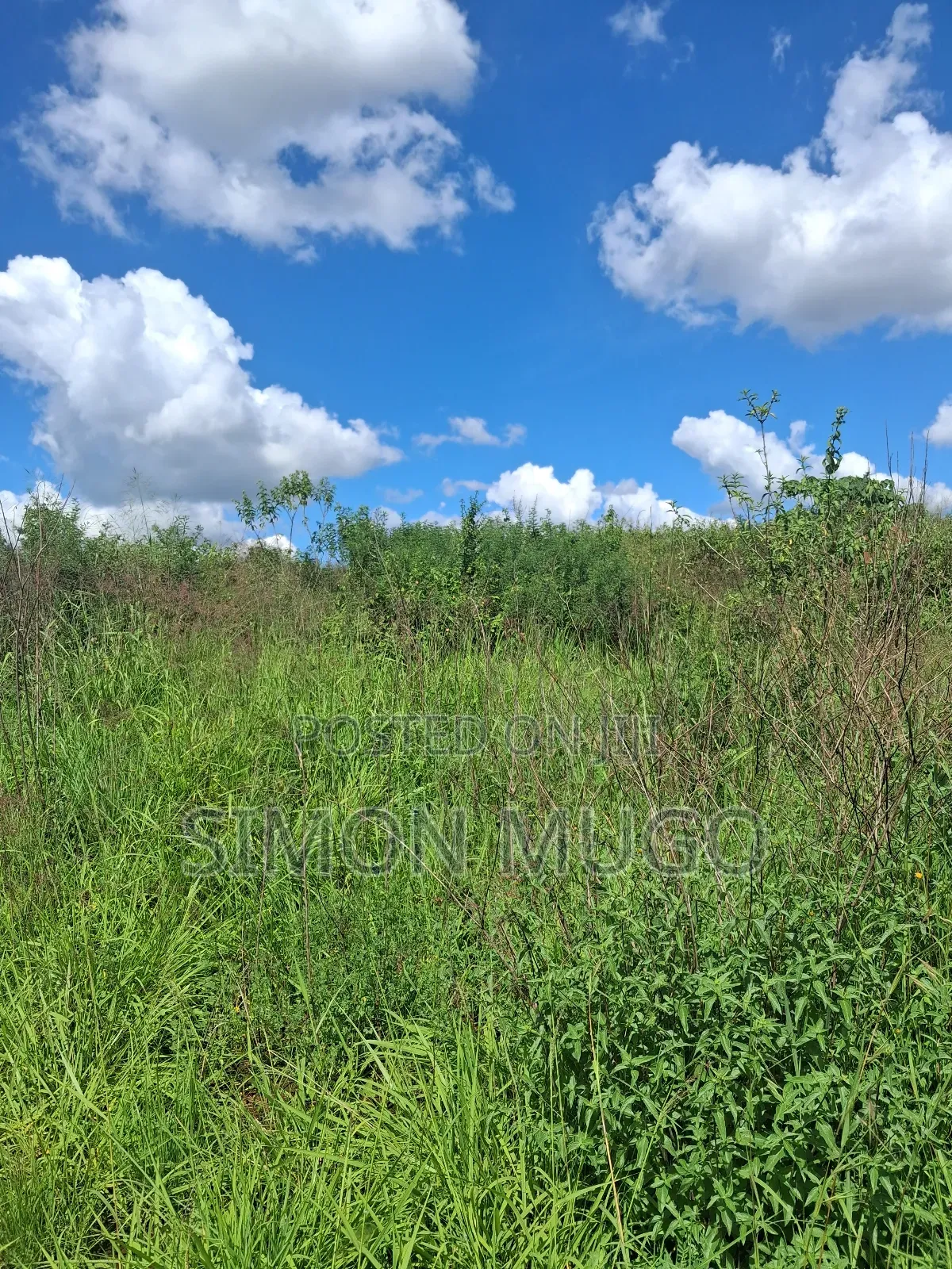 Kitengela Kisaju Very Prime 20 Acres Ideal for Town Hse Less 1km in Kisaju