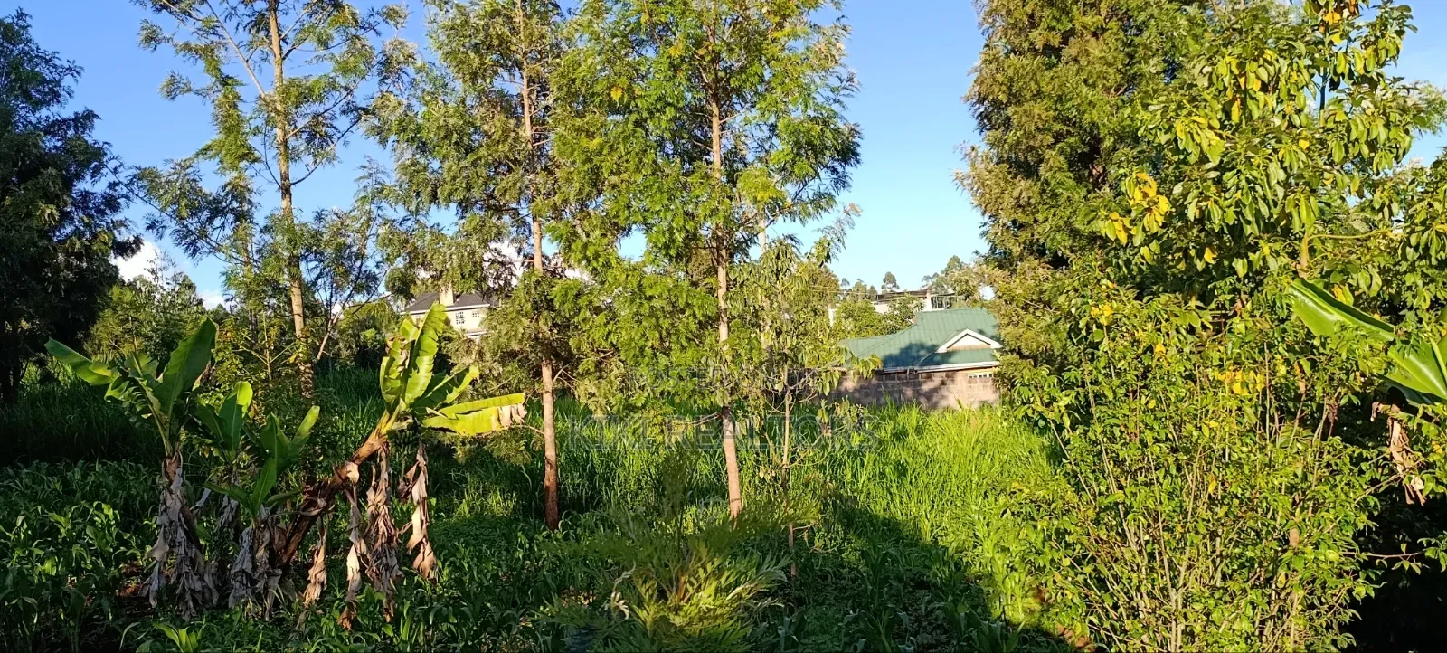 Kikuyu Plots for Sale in Kikuyu