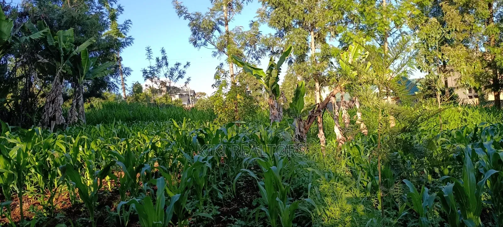 Kikuyu Plots for Sale in Kikuyu