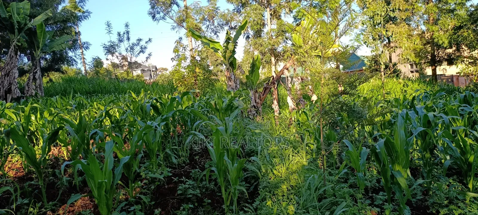 Kikuyu Plots for Sale in Kikuyu