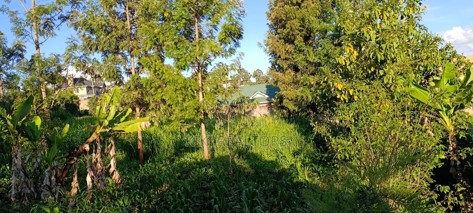 Kikuyu Plots for Sale in Kikuyu