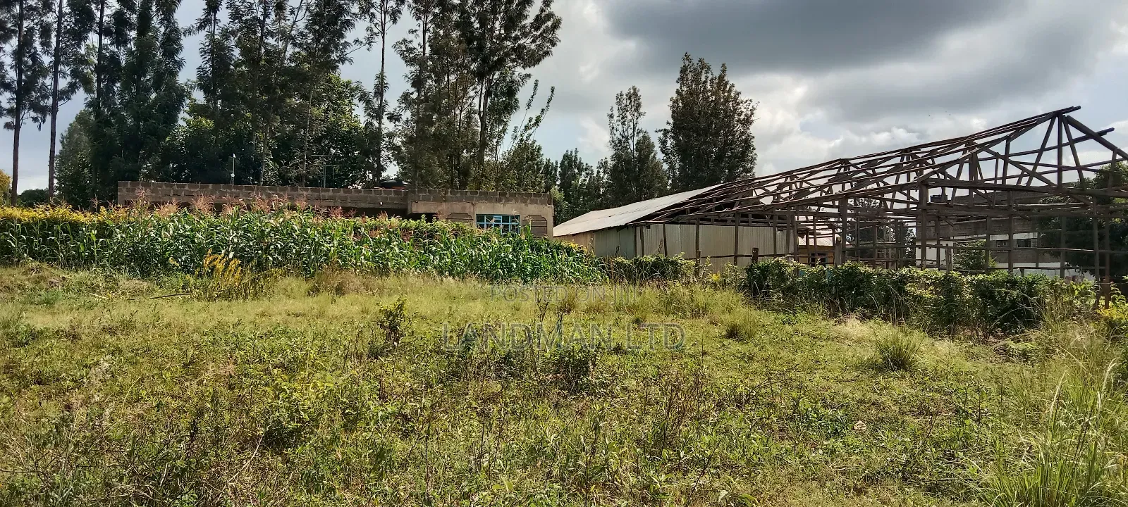 Kenol Prime Plot in Ngoliba