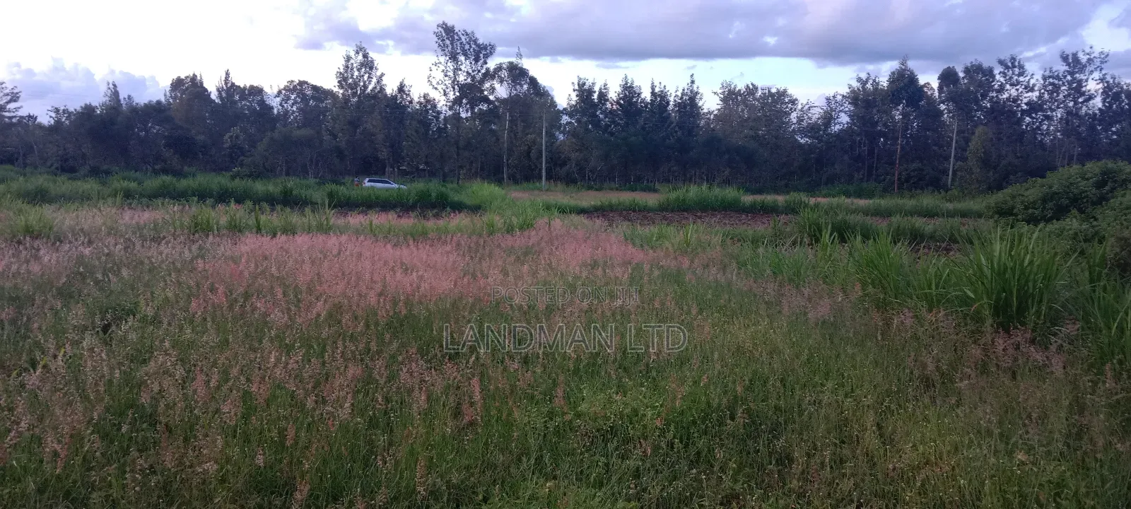 Muranga Loc 20 in Township G