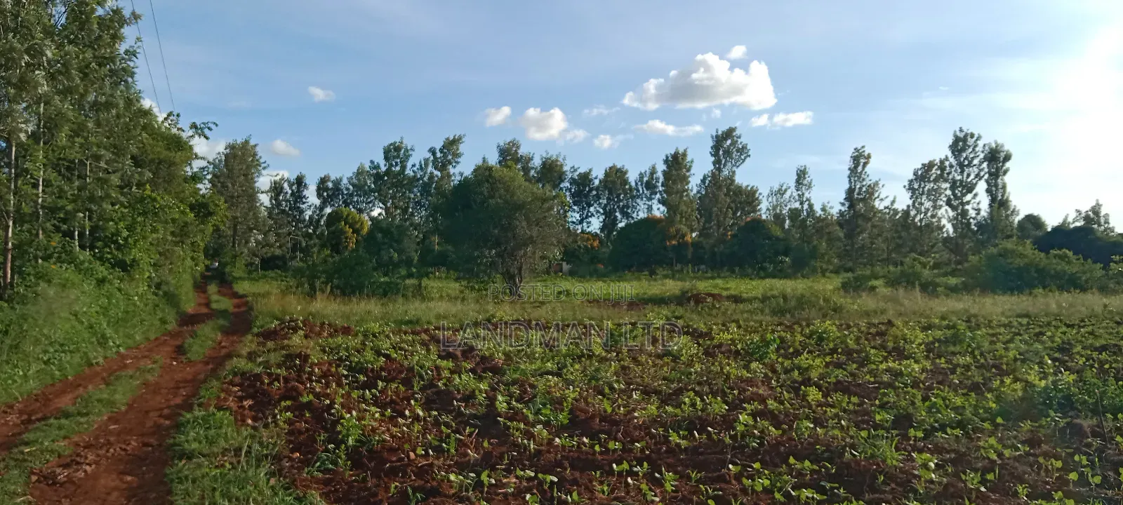 Muranga Loc 20 in Township G