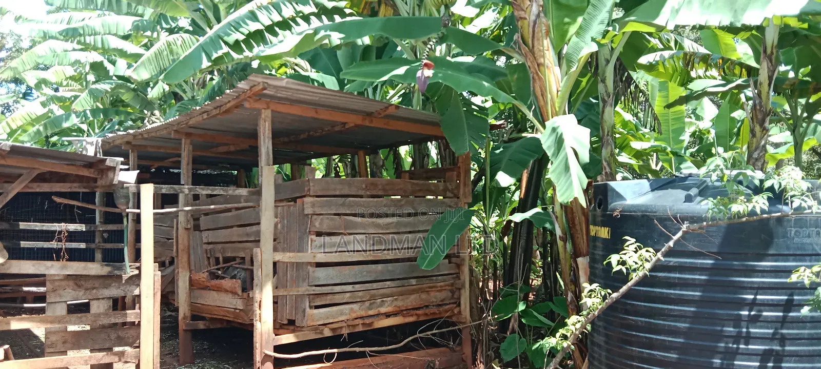 Prime 1 Acre Agricultural Land in Maragua in Nginda