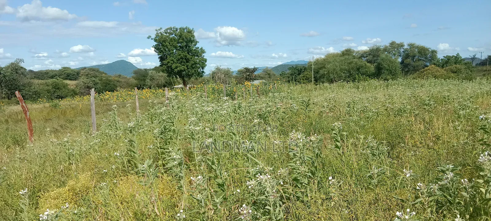 Kajiando Ranch in Namanga