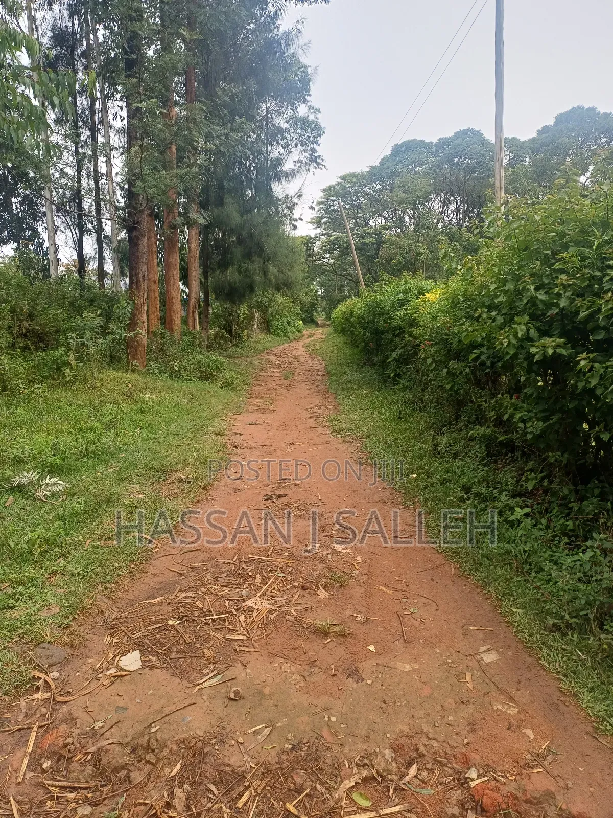 3 Plots 4 Sale St Peters Mumias in Mumias Central